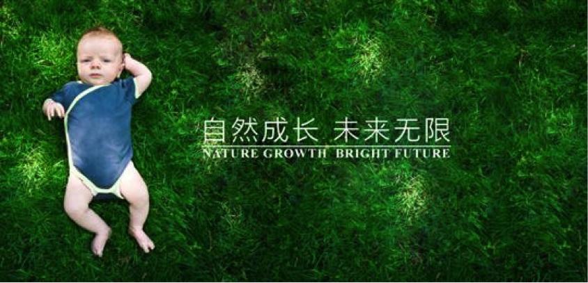 斐婴宝特许经营体系,斐婴宝羊奶