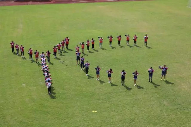 鏄撹溅鎺ㄨ崘,鏄撹溅濂栧姳