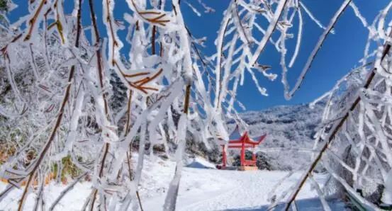 寒气席卷、叶汽成霜……陕西6处大美雾凇奇景上线!