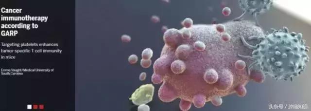 谁说好的抗癌药一定又新又贵？