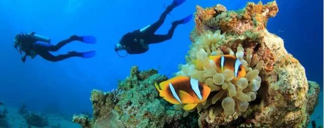 马尔代夫卓美亚德瓦纳芙希岛,马尔代夫卓美亚德瓦纳