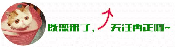 橙子柚子橘子柑橘的区别,桔子橙子柚子和柑子的区别