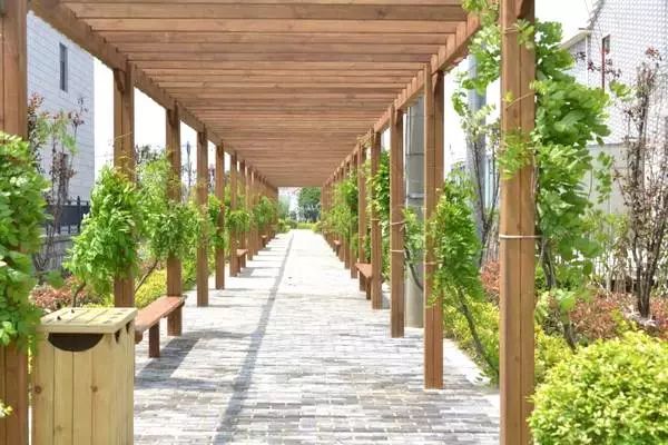 上海小众好玩的地方,上海闵行区小众景点