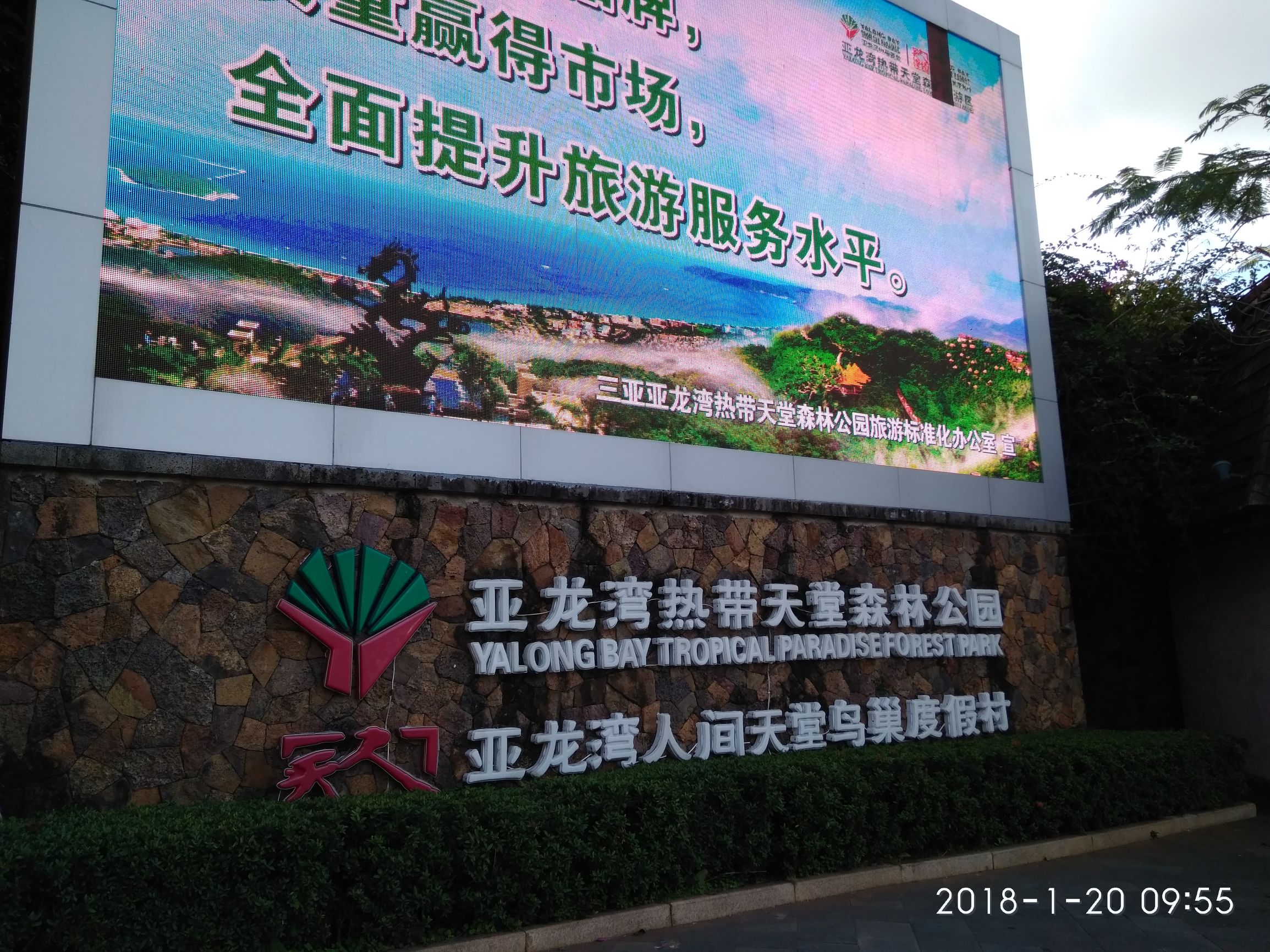 三亚亚龙湾热带天堂森林公园,三亚游玩攻略亚龙湾森林天堂