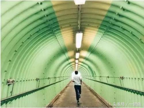 香港尖沙咀有什么地方可以逛,香港不只有繁华更有市井