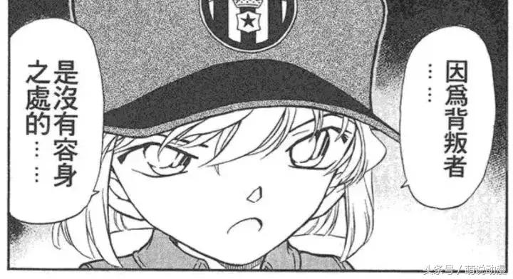 名侦探柯南早期感动人的案件,名侦探柯南最令人感动的一集