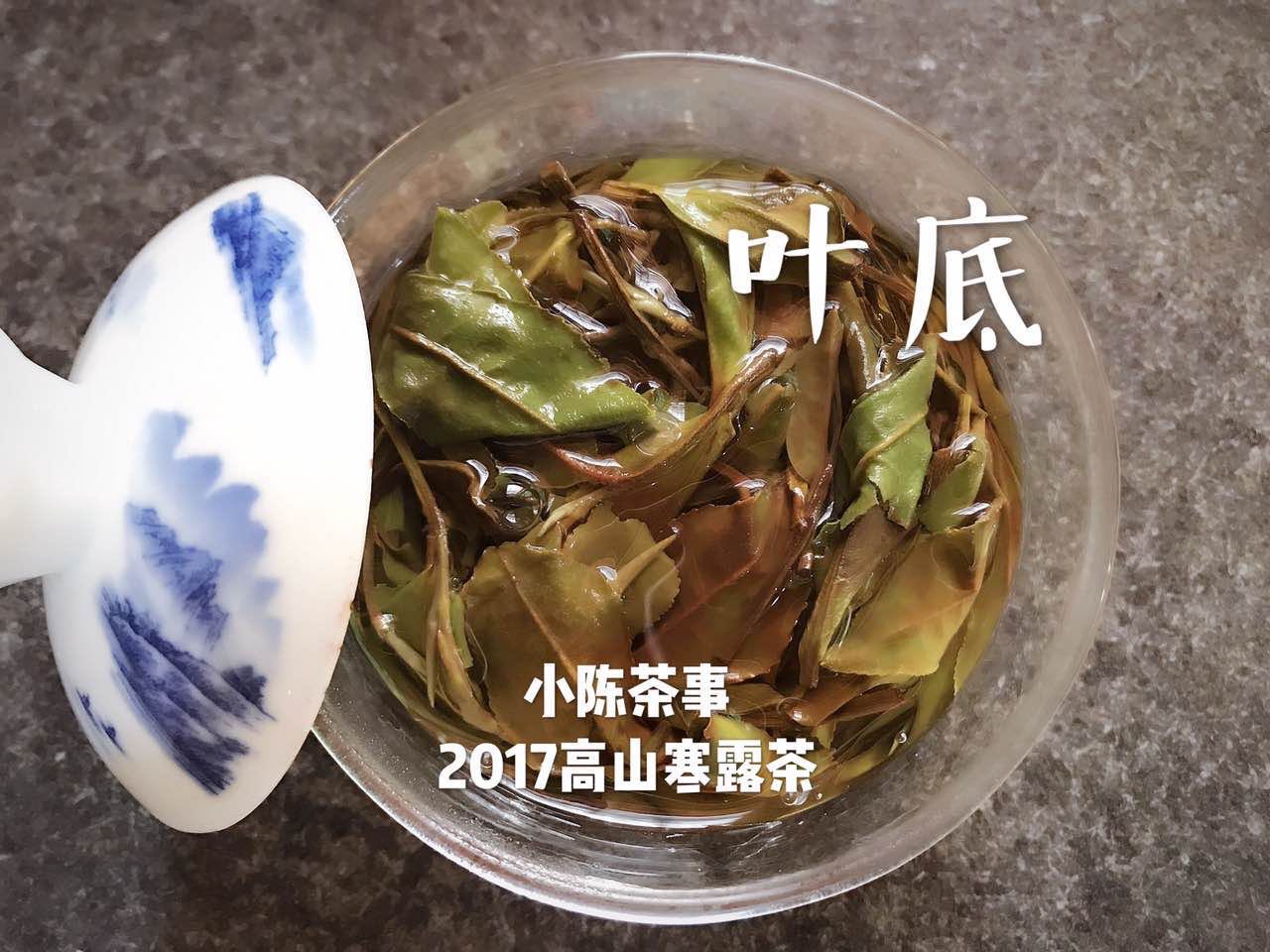 白茶怎么选白茶代表品种有哪些,普洱白茶叶底绿色和褐色哪种好