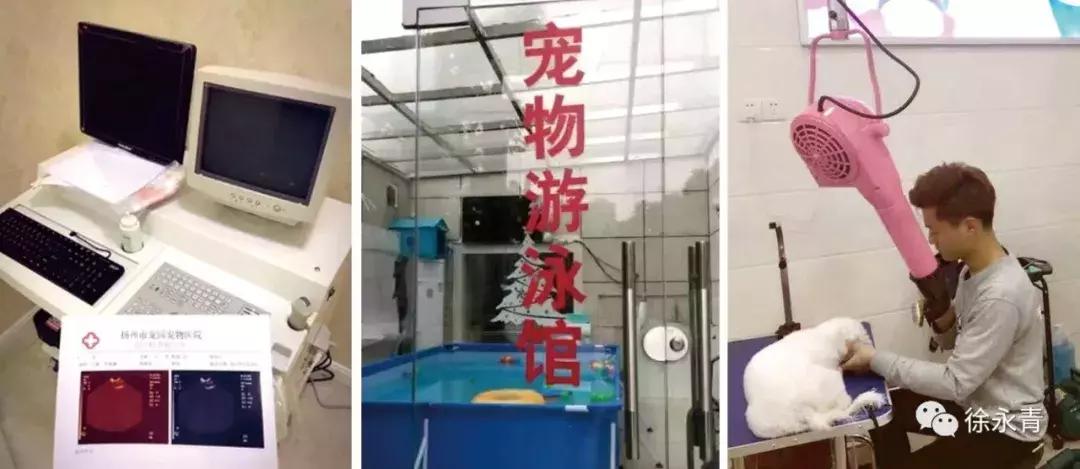 老徐会客厅：于祥：志存高远未来可期扬州企业家公益联盟发起人