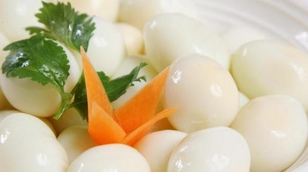 健身蛋粉搭配使用方法,健身扫盲