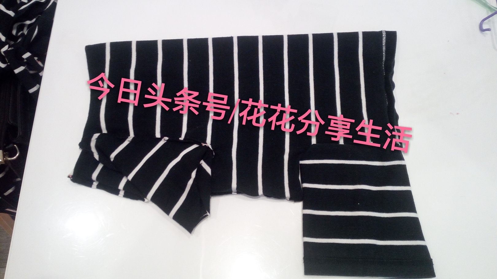 手工制作小狗衣服视频教程,怎样利用旧衣服做狗狗衣服