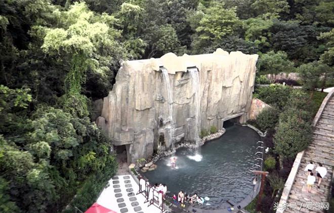 紫清湖扬子鳄温泉,紫清湖温泉度假村鳄鱼