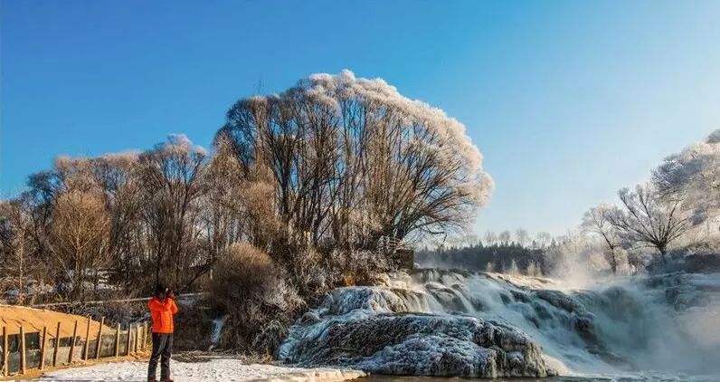 寒气席卷、叶汽成霜……陕西6处大美雾凇奇景上线!