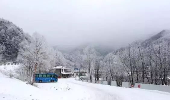 寒气席卷、叶汽成霜……陕西6处大美雾凇奇景上线!