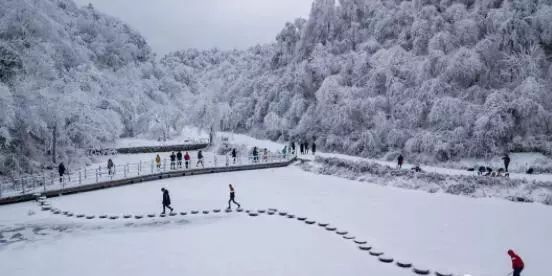 寒气席卷、叶汽成霜……陕西6处大美雾凇奇景上线!