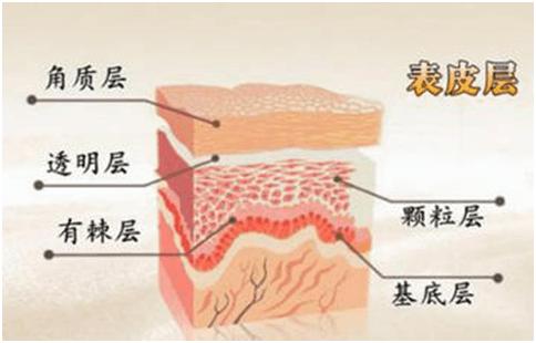 蔻洛希美肤顾问道出面膜真相