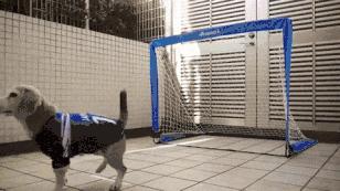 史上第一个用脸挡球的足球守门员,足球守门员不可思议的挡球