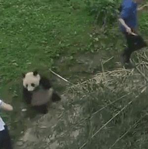 女朋友胸小怎么哄,女朋友胸小怎么办吃什么补