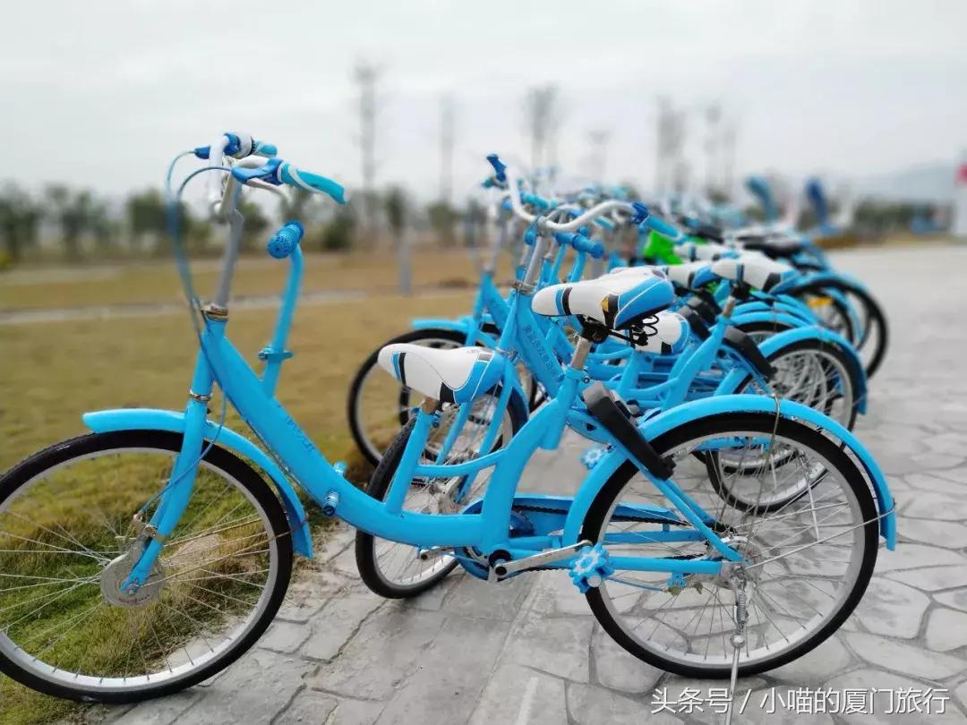 免费试骑！漳州双鱼岛迎来第一批共享山地自行车