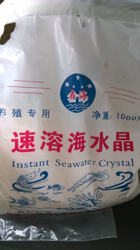 巨头蛋龟饲养环境造景,养龟养鱼生态缸