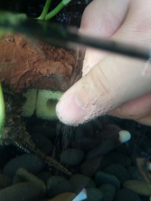 缸小养龟怎么造景,养龟小缸造景图片