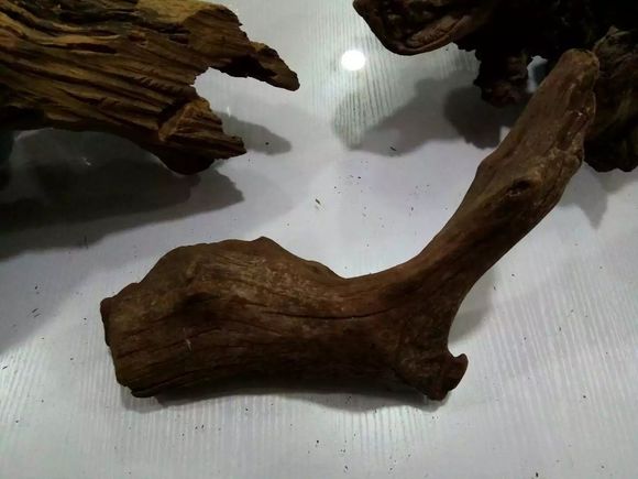 缸小养龟怎么造景,养龟小缸造景图片