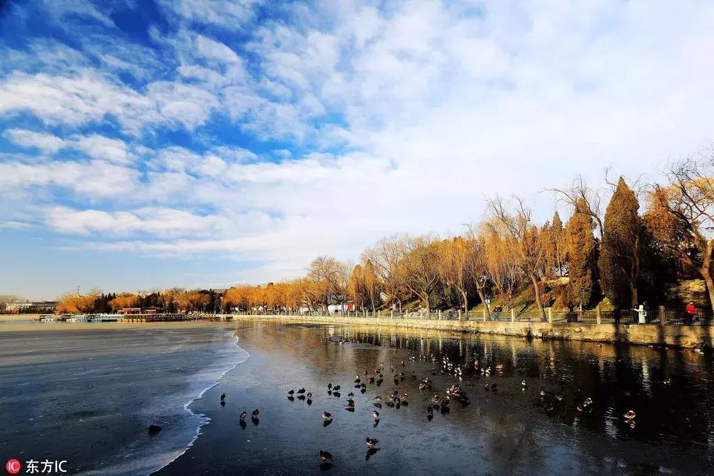 从寒冬逛到初春,北京25家历史名园,你都去过吗?