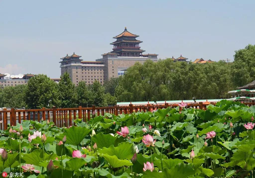 从寒冬逛到初春,北京25家历史名园,你都去过吗?