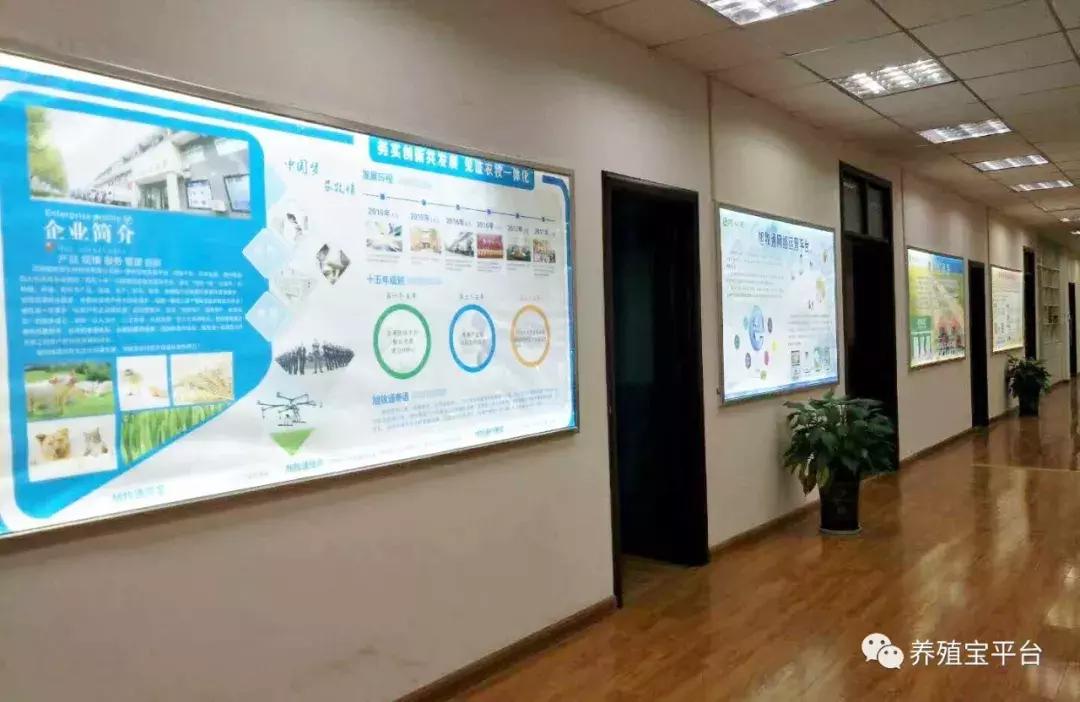 旭牧通2020年,旭牧通全部产品讲解