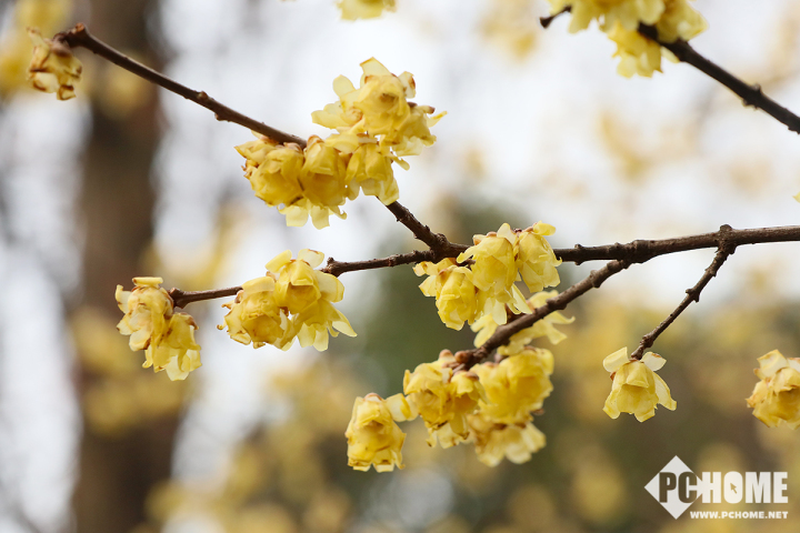 佳能eosm6markii,佳能6d镜头推荐便宜