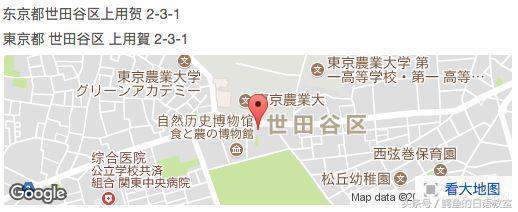 pop子和pipi美的日常梗大全,pop子和pipi美梗