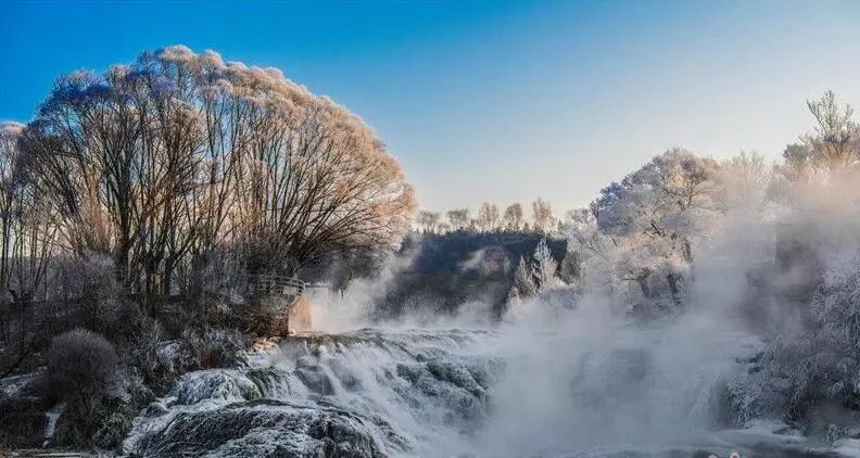 寒气席卷、叶汽成霜……陕西6处大美雾凇奇景上线!