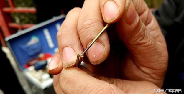 老中医醋精加面粉点痣的视频,男子路边点痣