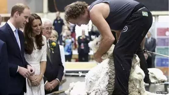 37岁威廉王子秃头,威廉王子剃掉光头