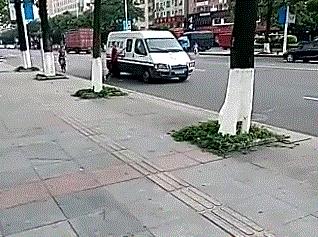 驾照考试奇葩挂科,驾照考试奇葩行为