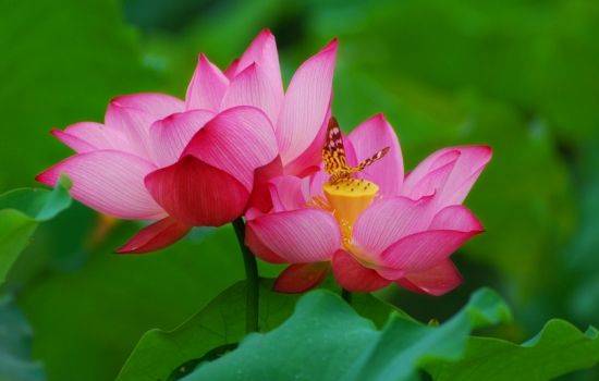 我们日常生活中的易经智慧,日常生活中的智慧