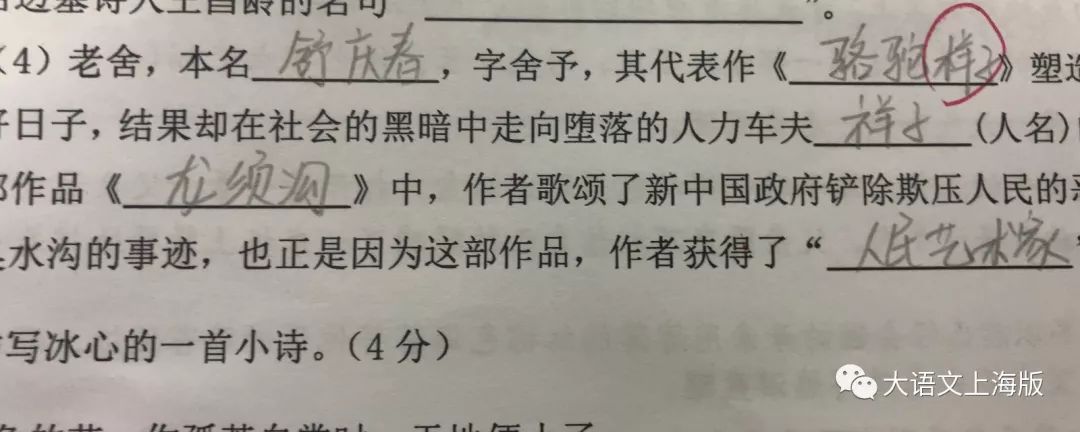 错别字大王,错别字大王暑期计划