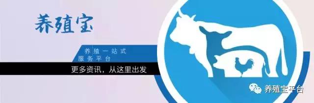 旭牧通2020年,旭牧通全部产品讲解