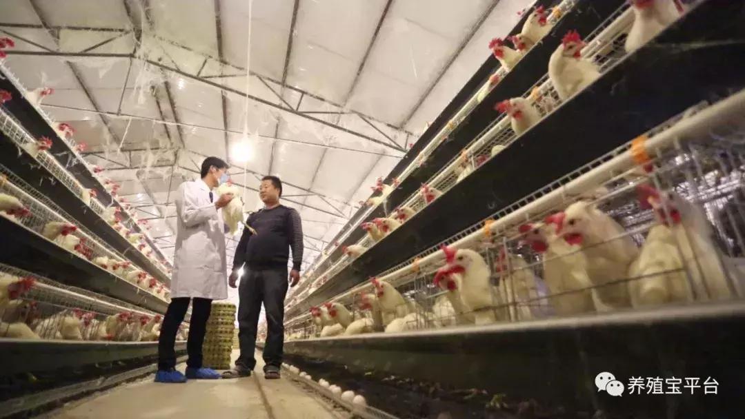 旭牧通2020年,旭牧通全部产品讲解