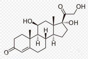 长期使用激素药物自己可以恢复吗,肾上腺皮质激素长期使用