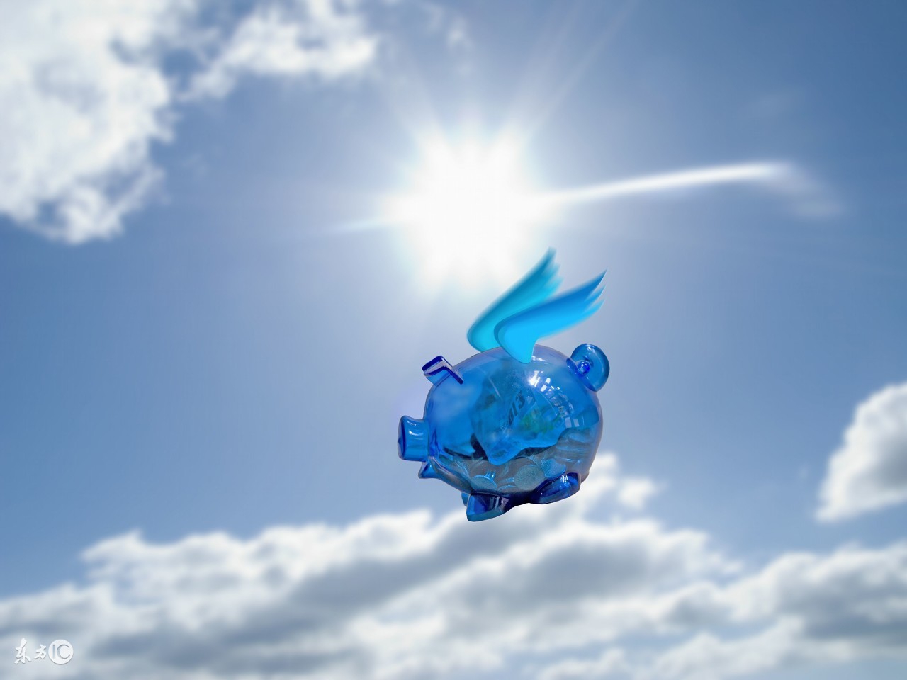 农村养猪人工授精产仔多,村里出奇迹