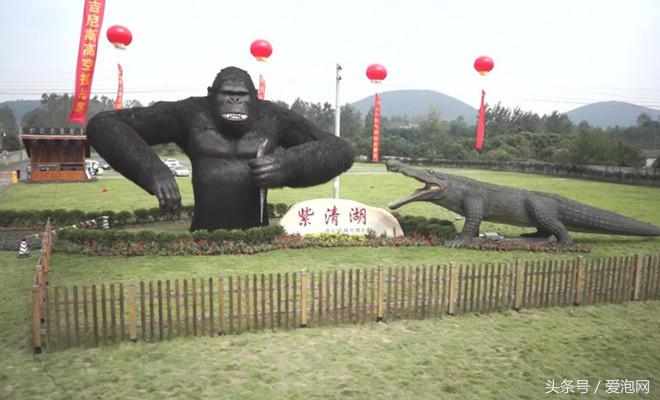 紫清湖扬子鳄温泉,紫清湖温泉度假村鳄鱼