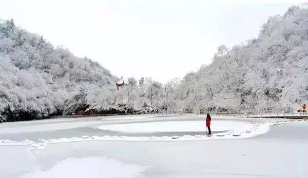 寒气席卷、叶汽成霜……陕西6处大美雾凇奇景上线!