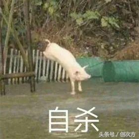 用裸眼3d手机看3d电影,手机裸眼3d效果视频