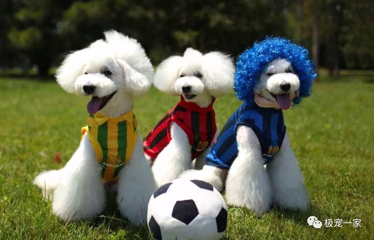 史上第一个用脸挡球的足球守门员,足球守门员不可思议的挡球