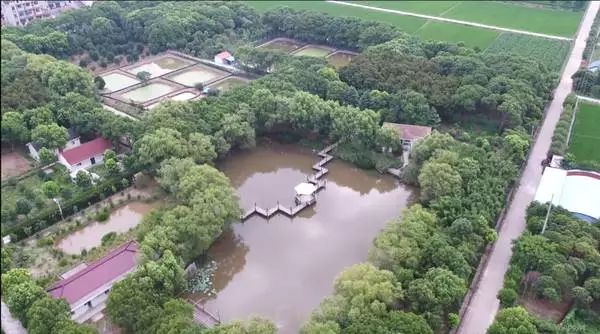 上海小众好玩的地方,上海闵行区小众景点