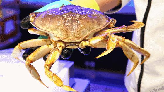 在超市吃海鲜、撸串、喝下午茶……这还是我认识的苏果吗？