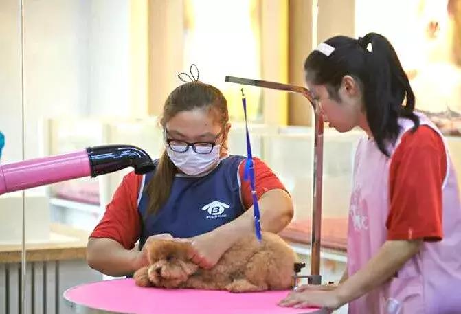 老徐会客厅：于祥：志存高远未来可期扬州企业家公益联盟发起人