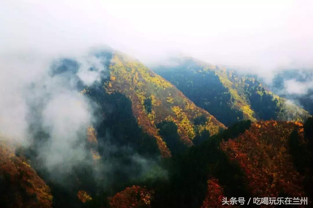 活在吃货世界里,兰州美食背后的感悟