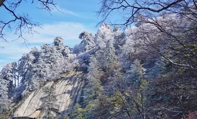 寒气席卷、叶汽成霜……陕西6处大美雾凇奇景上线!