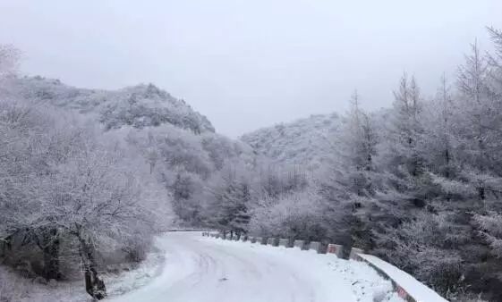 寒气席卷、叶汽成霜……陕西6处大美雾凇奇景上线!